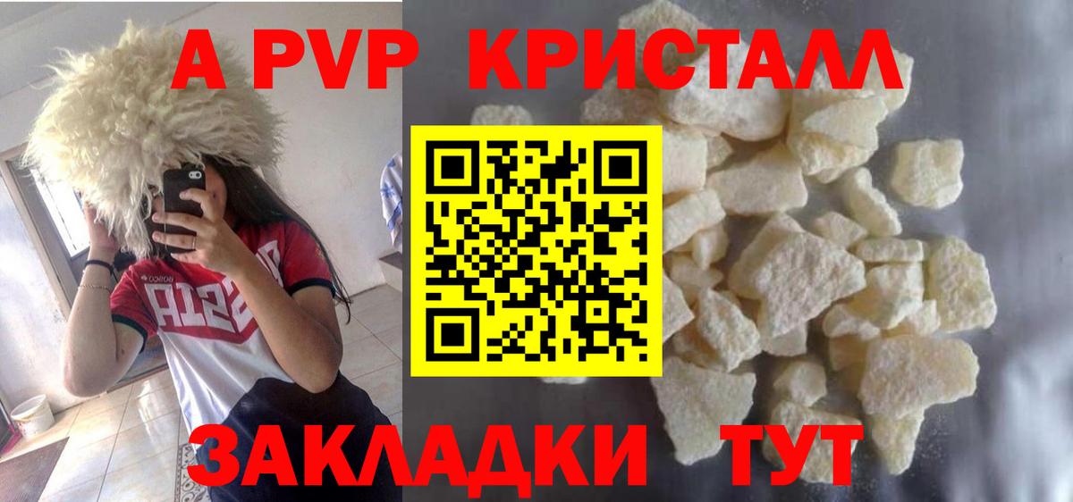 Альфа ПВП СК КРИС Грозный