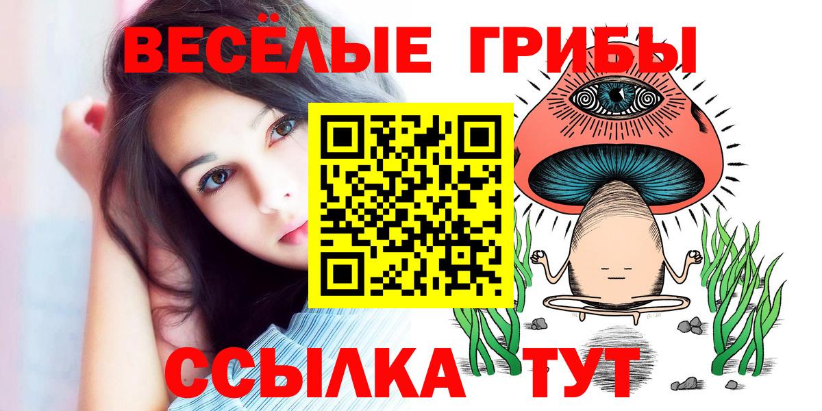 Псилоцибиновые грибы Cubensis  Вход с VPN  Грозный  Галлюциногенные грибы Magic Shrooms 